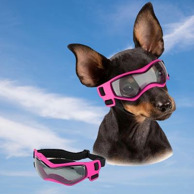Lunettes pour Chien - DogGoggles™ - Rose