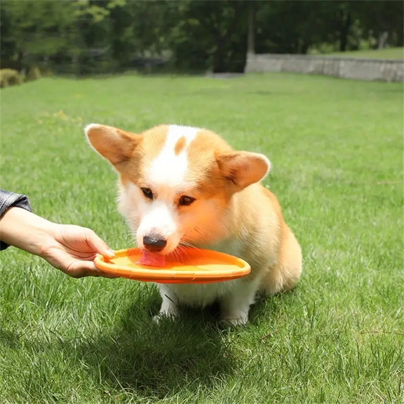 Frisbee pour chien - FlyDog™ - Orange