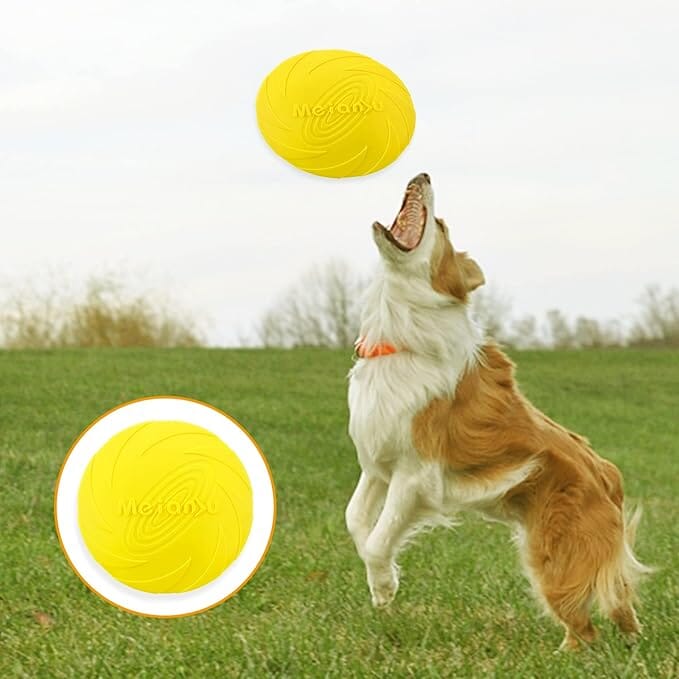 Frisbee pour chien - FlyDog™ - Jaune