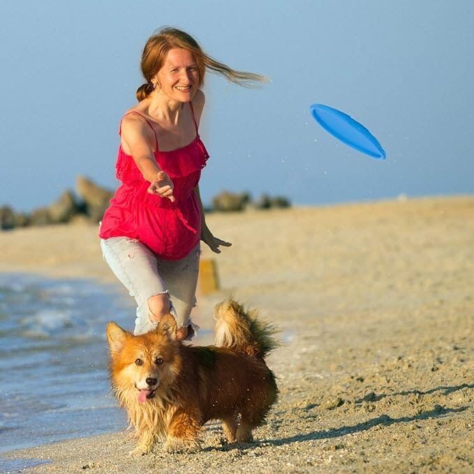 Frisbee pour chien - FlyDog™ - Bleu