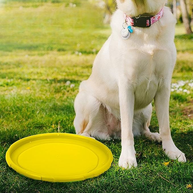 Frisbee pour chien - FlyDog™ - Jaune