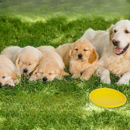 Frisbee pour chien - FlyDog™ - Jaune