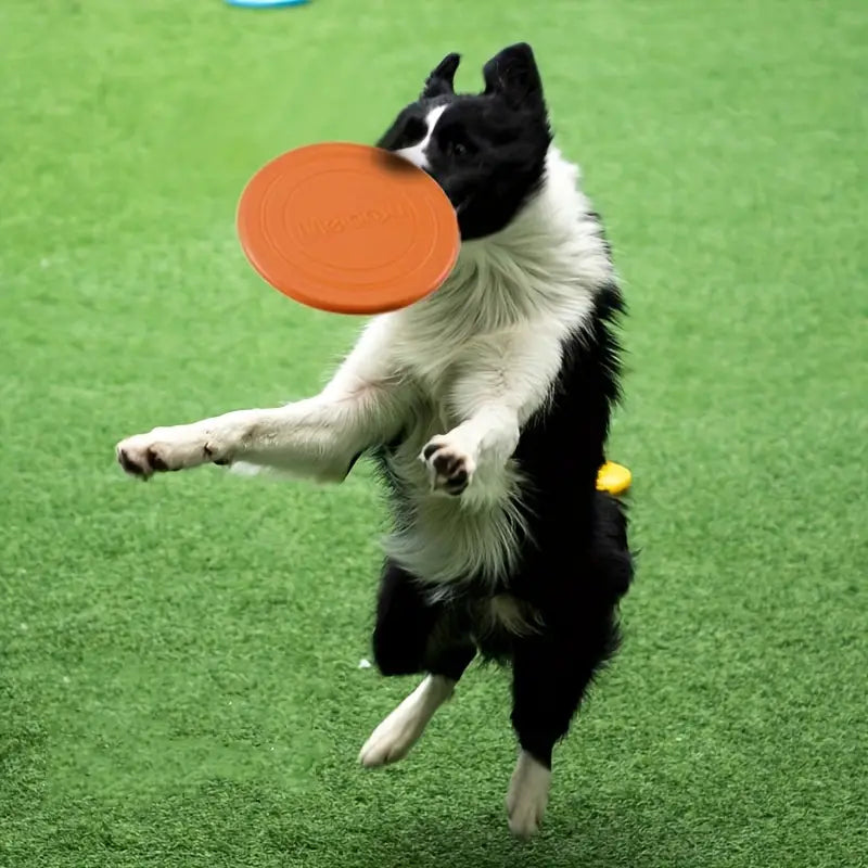 Frisbee pour chien - FlyDog™ - Orange