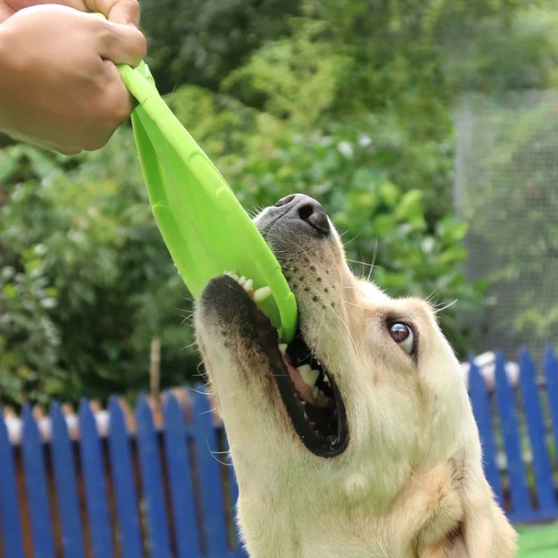 Frisbee pour chien - FlyDog™ - Vert