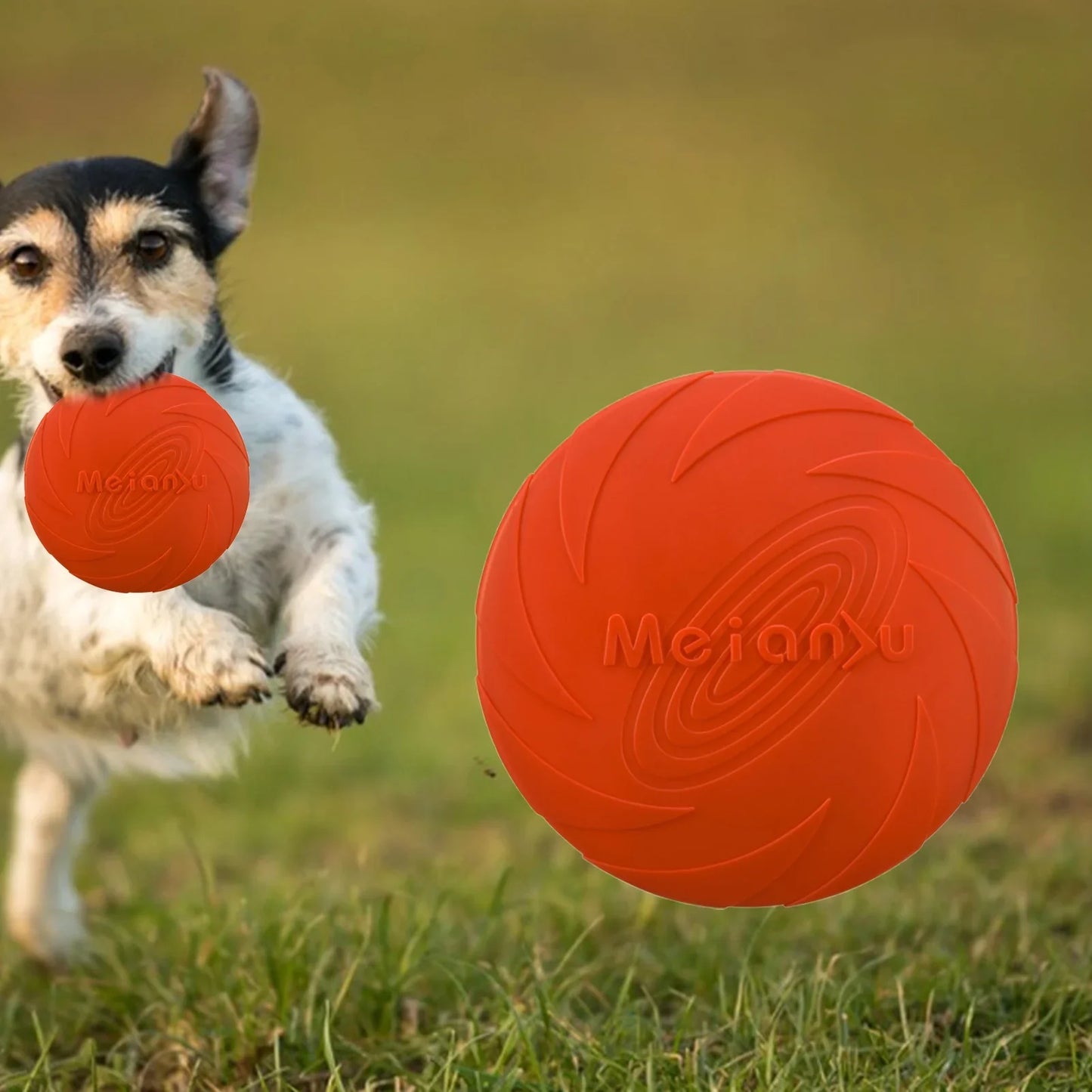 Frisbee pour chien - FlyDog™ - Rouge